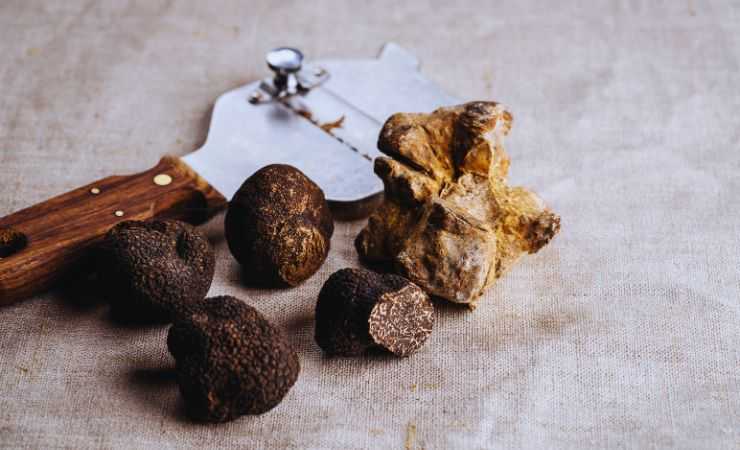 tartufo conservazione